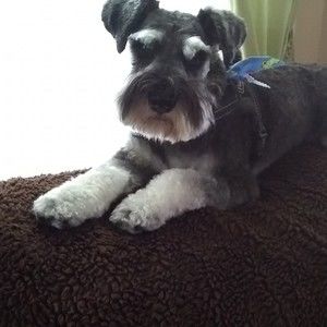 Meet your Posher, Nancy